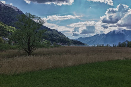 Bolle di Magadino (CH)